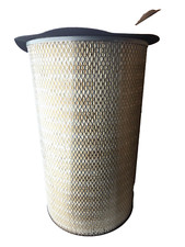 Baldwin Filters PA2396 Air Filter 12-1/16 X 20-3/8 In. for Versatile 22934