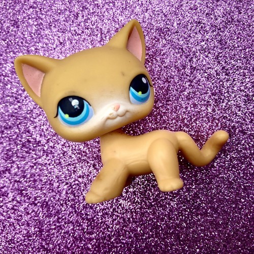 Hasbro LPS Littlest Pet Shop Shorthair Cat Orange Blue Eyes #71 *eye ...