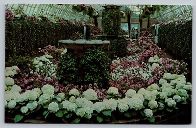 Spring Flower Show Phipps Conservation Pittsburgh Pennsylvania PA 60s Postcard