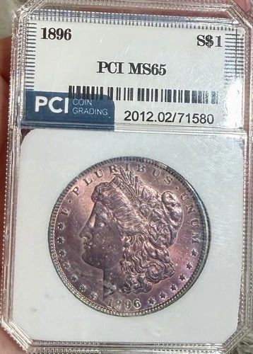 1896 P Morgan Silver Dollar Slabbed Amazing Toning! VF #208