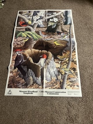 Vintage 1985 Missouri Conservation Poster - Missouri Woodland Songbirds