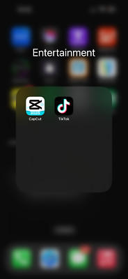 Apple iPhone 16 Pro Max - 256 GB - TikTok and CapCut Installed -  Unlocked