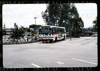 SCRTD-RTD. GM COACH #1019. El Monte (CA). Original Slide 1984.
