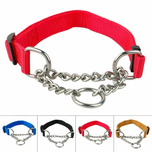 Collier étrangleur en nylon pour chien