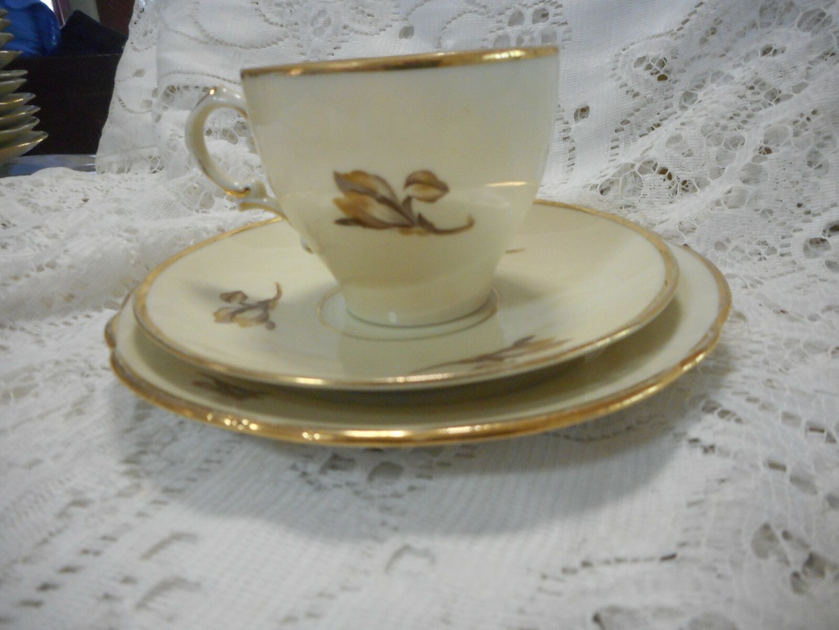 Kjøbenhavns Porcellains Maleri KPM Orchid Tea Cup Trio 1924