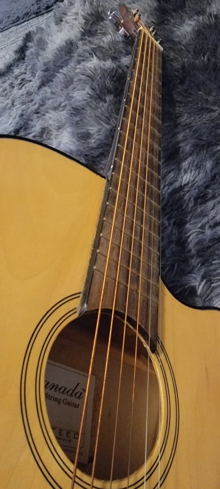Picture 5 of 13