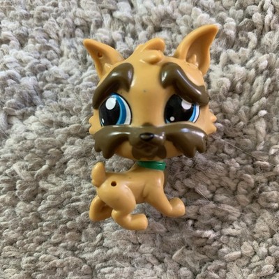 Littlest Pet ShopLPS COLLAR Dog GRIFFON ''Brussels Griffon Sam'' Eyebrows