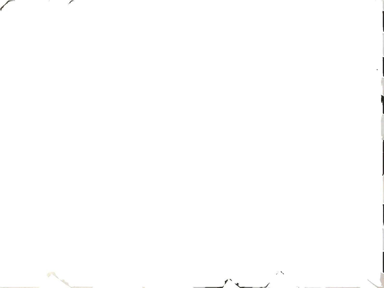 涤棉白色面料雪佛龙