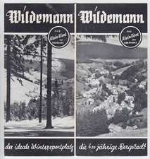  Prospekt  Wildemann Das Klein-Tirol im Oberh...