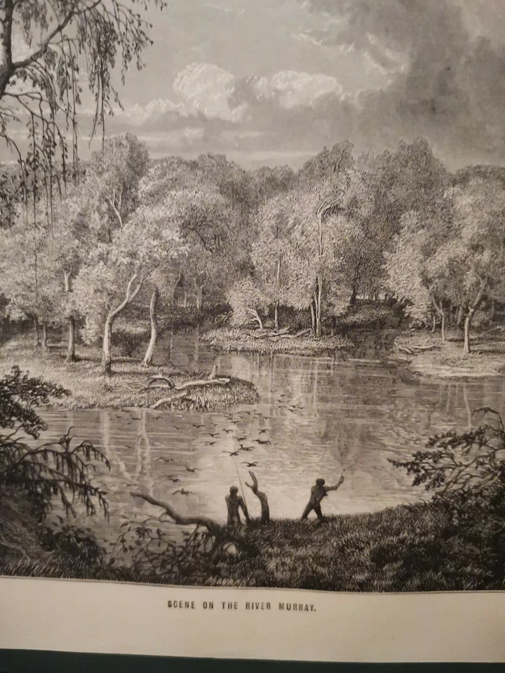 1862 Original Illustration Gravur Kupferstich Lithographie Vintage Retro  Murray - Bild 2 von 4