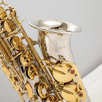 Japanese professional E-flat W037 type structure alto saxophone