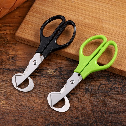 BESTONZON 2pz Forbici Taglia Quaglie Acciaio Inox Piccolo Uovo di Quaglia - Foto 6 di 8