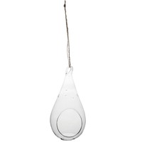 Syndicate Sales Modern Teardrop Terrarium 3 1/2 X 7 on sale Syndicate Sales Modern Teardrop Terrarium 3 1/2 X 7 on sale