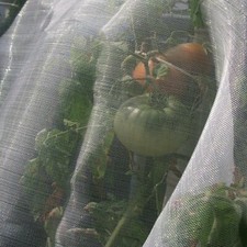 Rete ombreggiante anti insetti mosca cimici cavallette lumache ortaggi frutti 