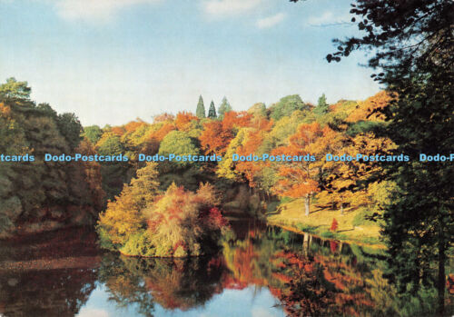 Jardín Botánico Real D077919. Kew. Wakehurst Place. Treetops of Horsebridge Woo - Imagen 1 de 4