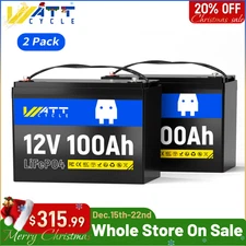 12V 100Ah 200Ah LiFePO4 Lithium Battery 2 Pack Deep Cycle BMS For RV Solar Panel