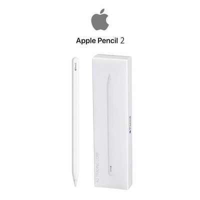 Original Apple Pencil (2nd generation)