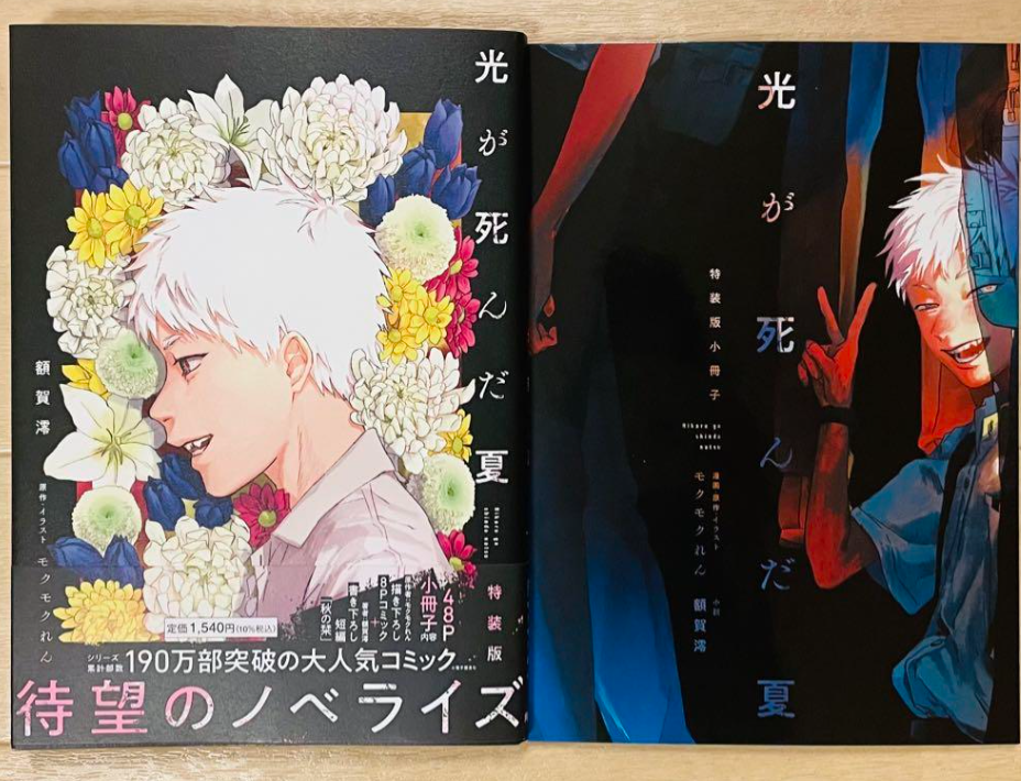 Hikaru ga shinda natsu Special edition with booklet Japanese Novel Mio Nukaga