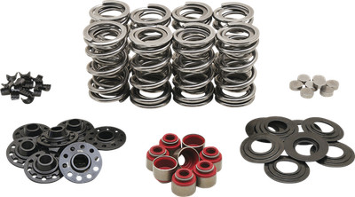 Kibblewhite Dual Spring Kit 20-23450