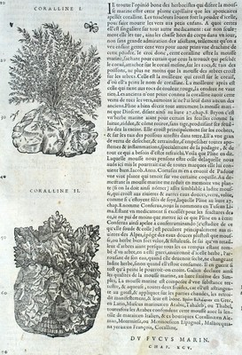 Potamot Nénuphars Corallinales Botanical Matthioli Mattioli Matthiole ...