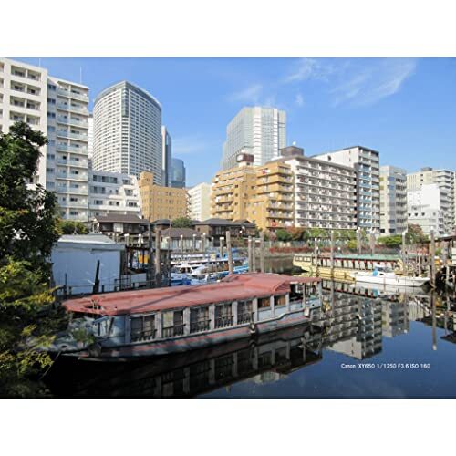 Canon IXY 650 BK Compact Digital Camera Black 12x Zoom Light Weight Wi-Fi New - Picture 8 of 9