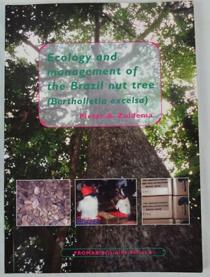 Ecology and Management of the Brazil Nut Tree (Bertholletia Excelsa) Zuidema