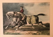 Gericault. Two Horses. Original Lithograph 1840-50