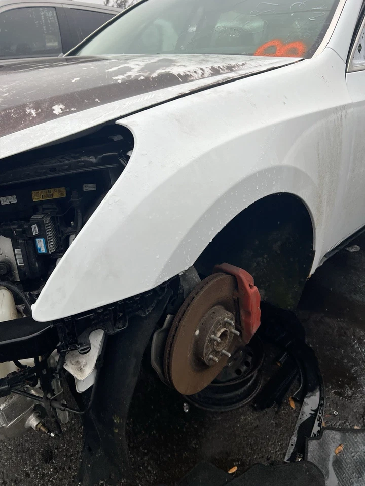 Guardabarros delantero izquierdo del lado del conductor Hyundai Equus 2011-2014 con revestimiento OEM Foto 2 de 4