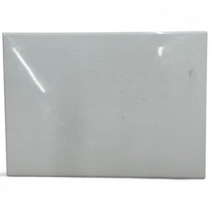 Volvo VNL Right/Passenger Sleeper Door - Used - White