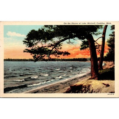 On The Shores Of Lake Mitchell Cadillac MI Vintage Postcard SPV12