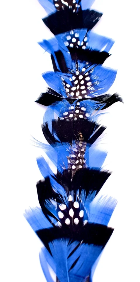 Guinea Fowl Feather Trim,Blue/Back with Polka Dots,Black Satin Ribbon,11.58 ft. - Image 4 of 4
