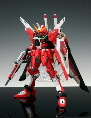 ファンデーション Mg 1/100 Infinite Justice VP ver. Resin Dress up Conversion Kit for