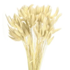 120Stk. Nat&uuml;rliche Hasenschwanz-Blumen 17" Mini-Gras,Verlauf Gelb