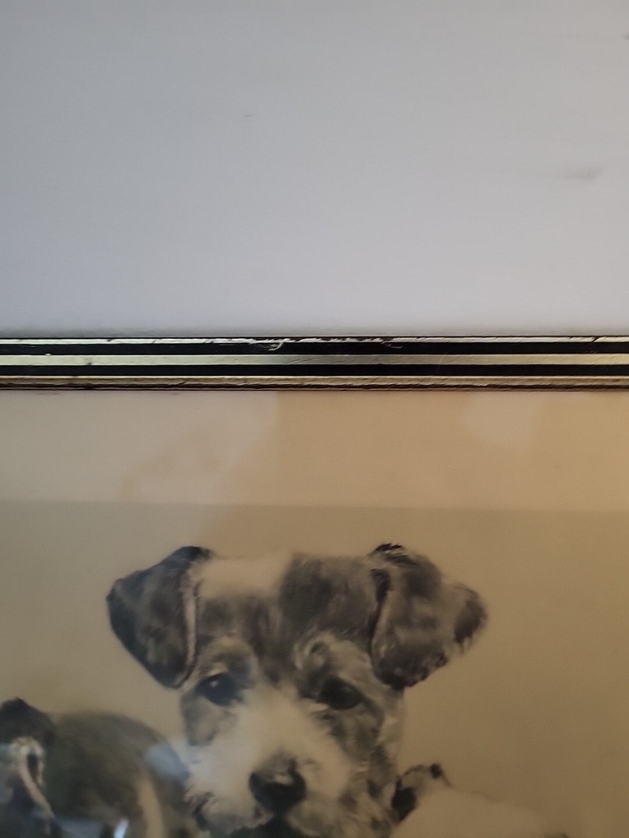 Vintage Framed Signed Dog Print by Kurt Meyer-Eberhardt | eBay