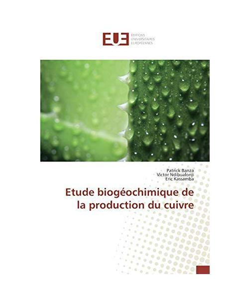 Etude biogéochimique de la production du cuivre, Patrick Banza, Victor Ndibualo