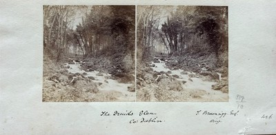 Original Stereoskopisches Foto 19. Jahrhundert,  The Druids Glen, Co. Dublin  um 1865 