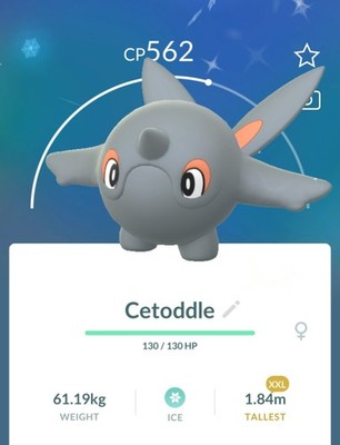 Shiny Cetoddle XXL Winter Attire Pokemon Go - T- 20k Or 1M Stardust 