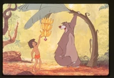 The Jungle Book Walt Disney Animation Ballou Mowgli Original 35mm Transparency