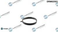 Dr.Motor Automotive DRM02503 Dichtung FüR KüHlmittelrohr FüR BMW