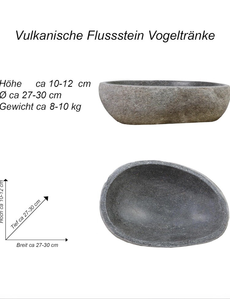 Bild 7 von 7