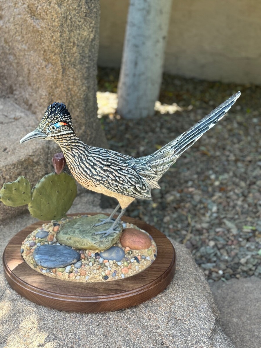 レア物 可愛い ボート型おもちゃ RUNNER Hand Carved Roadrunner/life Size - Etsy