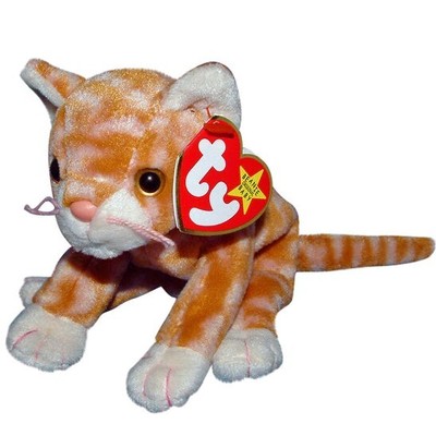 ty tabby cat