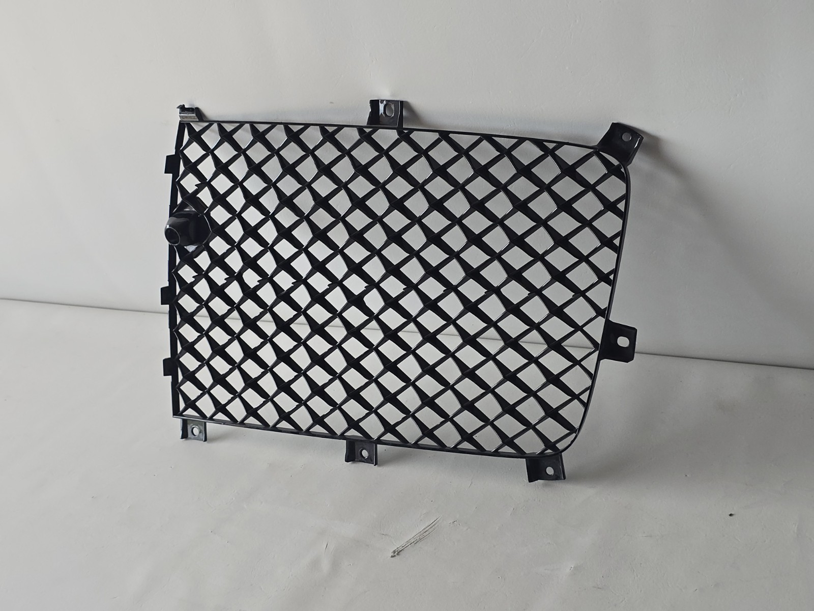 GENUINE BENTLEY Continental Flying Spur 2020-2023 LH Front Grill Panel 3SE853683