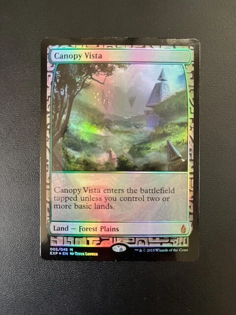 Land Foil Magic: The Gathering Trading Card Games Zendikar