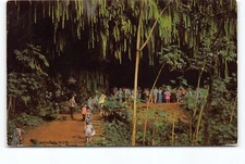 Fern Grotto Kauai Climax Scenic Boat Trip Wailua River HI Chrome Postcard Vtg