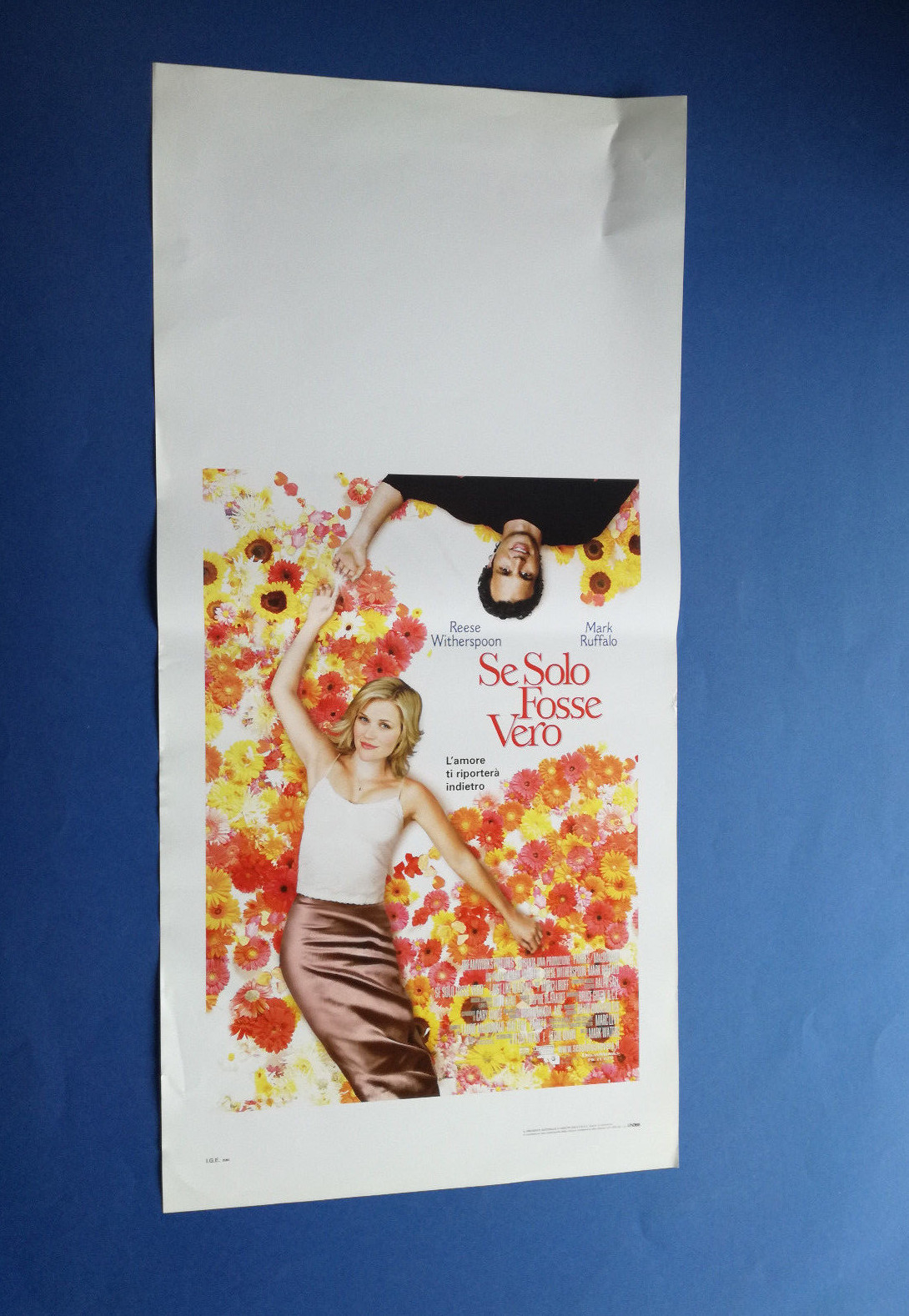Locandina originale film Se solo fosse vero (2005) - Regia di Mark Waters