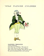 4822 Scott, Janet Laura - Wild Flower Children c.1918 - Painted Trillium