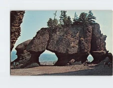 Postcard The Rocks Hopewell Cape New Brunswick Canada