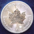 2019 Canadian Silver Maple Leaf 1 oz — photo from another recent sale