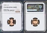 1989 s Proof Lincoln Cent NGC PF 69 RD ULTRA CAMEO